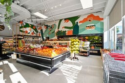 More Photos Of 505-511 Rue Rachel E, Montréal Storefront Retail Office For Sale