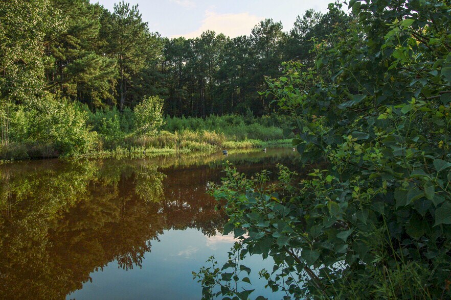 More Photos Of 386 County Road 784, Buna Land For Sale