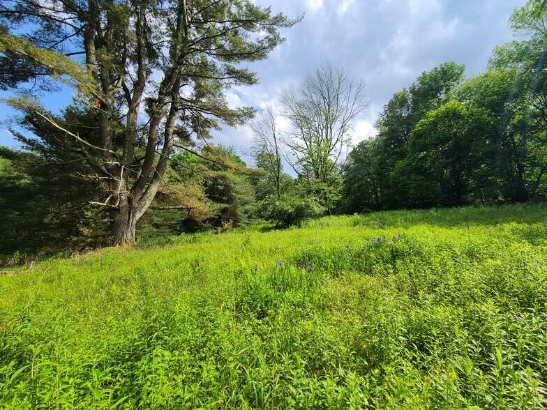 More Photos Of 1195 State Route 17B, Bethel Land For Sale