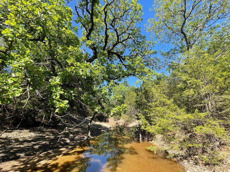 Primary Photo Of 986 US-183 Hwy, Goldthwaite Land For Sale