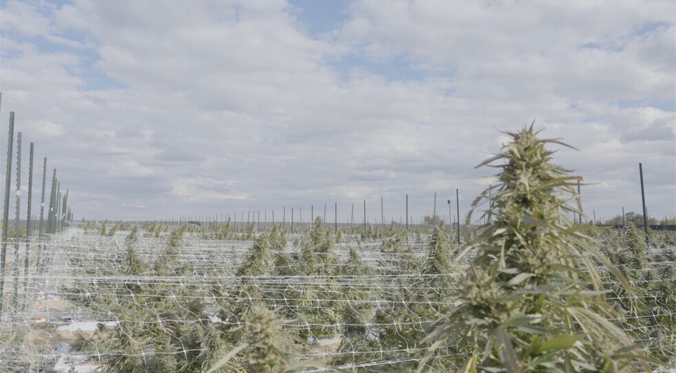 More Photos Of 8162 Maverick Ln, Ordway Land For Sale