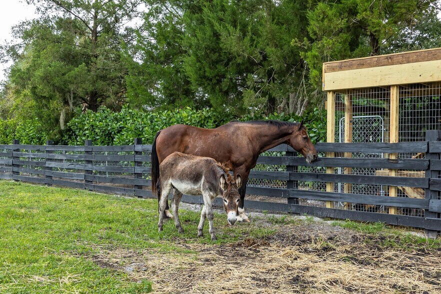 More Photos Of 21531 N River Rd, Alva Specialty For Sale