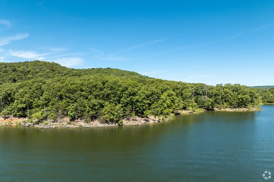 More Photos Of Carnation Ln @ Hwy 76, Cape Fair Land For Sale