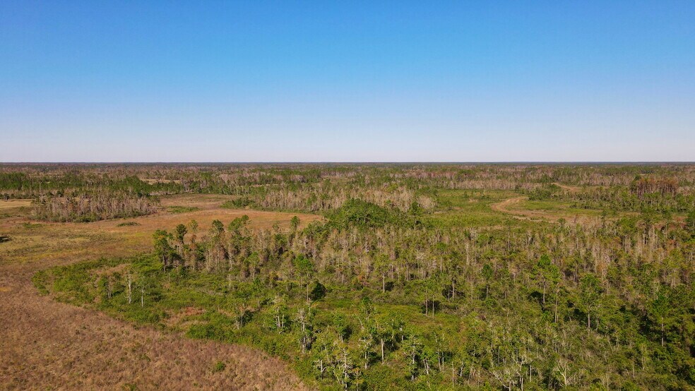 More Photos Of 4597 State 24 rd, Bronson Land For Sale