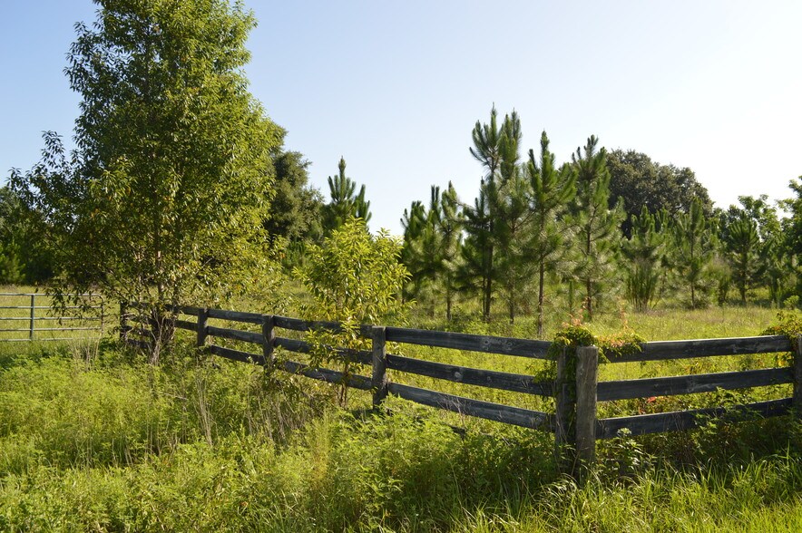 More Photos Of Myrtle Lake Ave, Fruitland Park Land For Sale