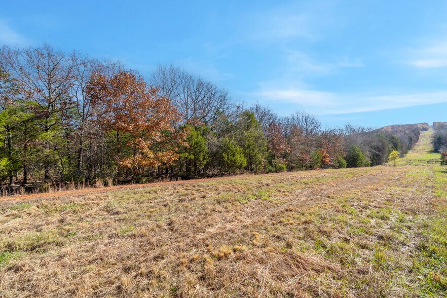 More Photos Of WC 136 Downing Rd rd, Fayetteville Land For Sale