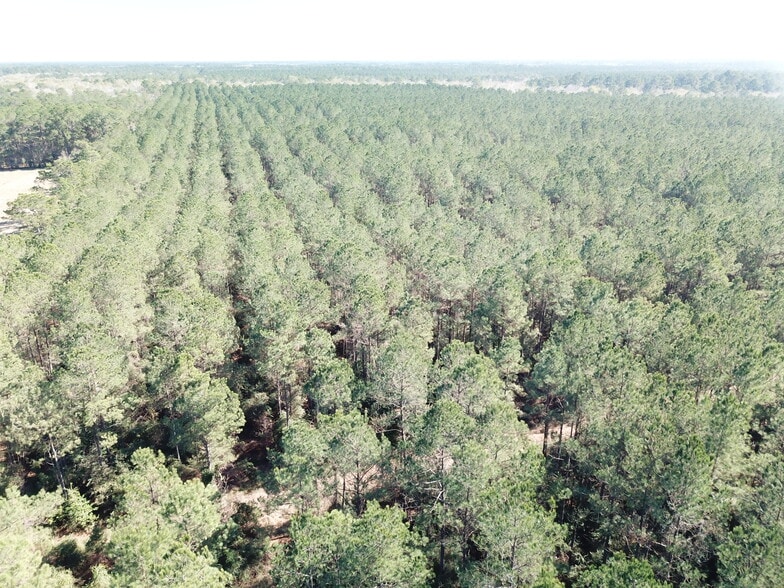 More Photos Of Corrigan Road, Vidor Land For Sale