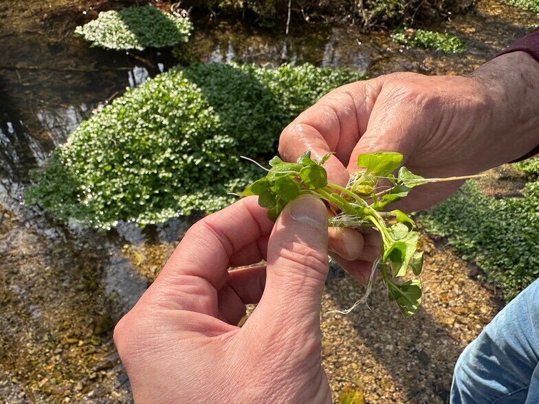 More Photos Of 7312 Highway 60, Georgetown Land For Sale