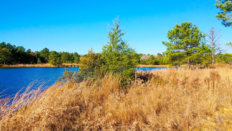 More Photos Of HWY 49 hwy, Jefferson Land For Sale