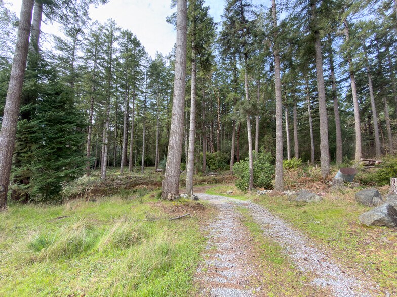 More Photos Of 46914 US-101, Bandon General Retail For Sale