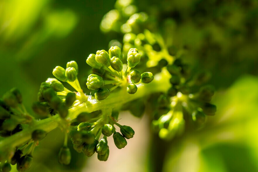 More Photos Of 786 Pompadour Dr, Ashland Land For Sale