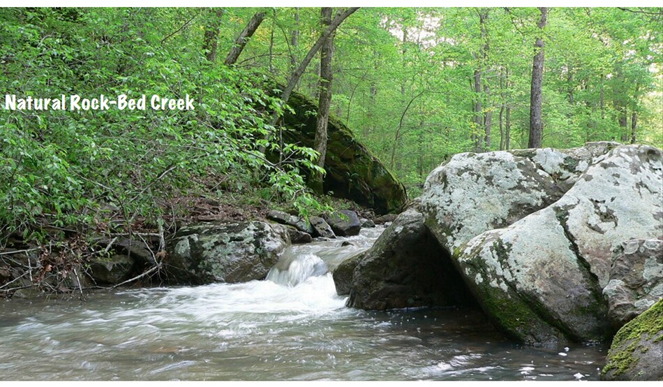 More Photos Of 635 Robinson Hill Rd, Makanda Sports And Entertainment For Sale