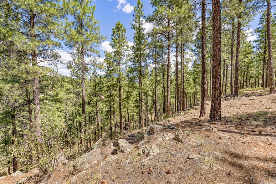 More Photos Of 2251 Kramer St, Flagstaff Land For Sale
