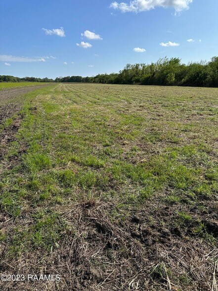 More Photos Of TBD Trahan Rd., New Iberia Land For Sale