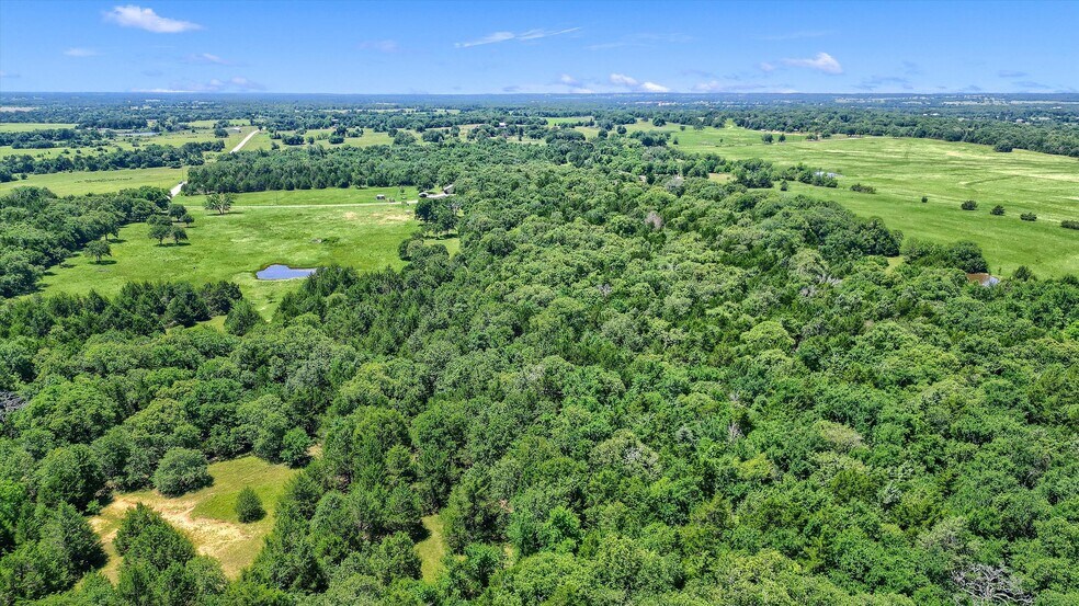 More Photos Of TBD CR 113, Whitesboro Land For Sale
