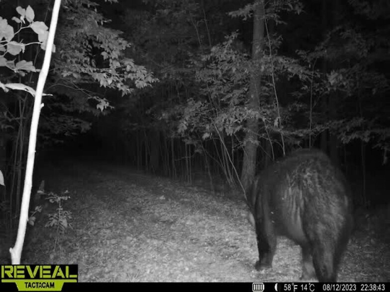 More Photos Of Fisher Road, Iola Land For Sale