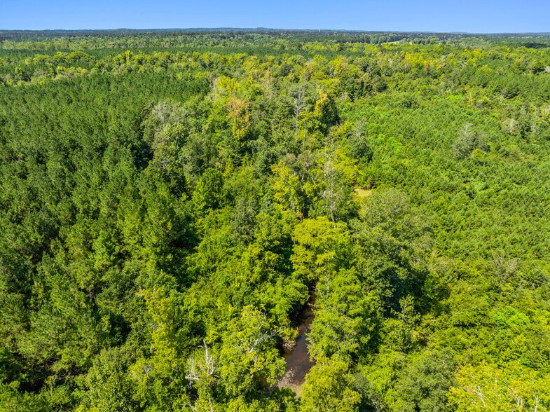 More Photos Of 7471 Highway 155, Saline Land For Sale