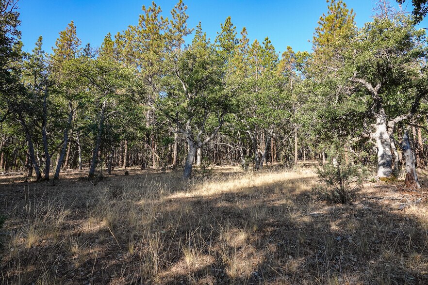 More Photos Of 0 East Rd, Fort Jones Land For Sale