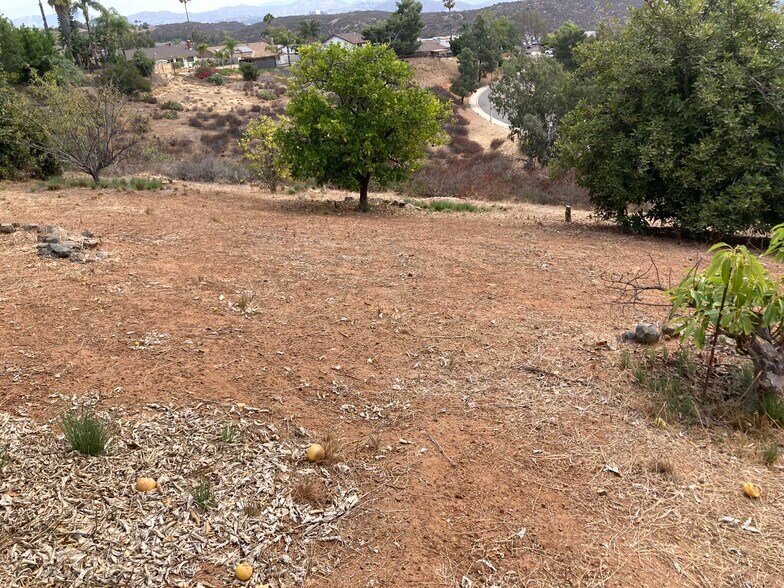 More Photos Of 0 Calle Los Arboles, Spring Valley Land For Sale