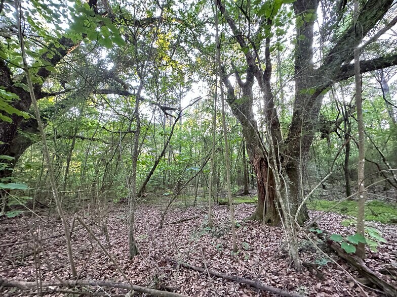 More Photos Of 0 Wilmer, Wilmer Land For Sale