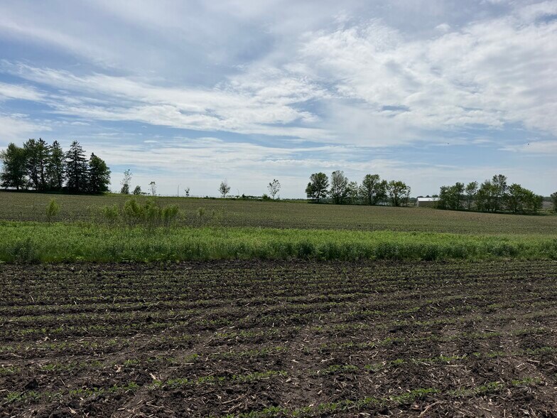 More Photos Of TBD 31st NW Ave @ HWY 52/75th Street NW, Oronoco Land For Sale