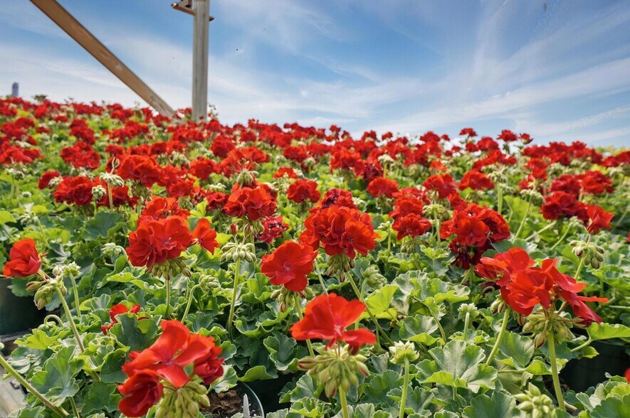 More Photos Of 1056 US-68, Xenia Garden Center For Sale