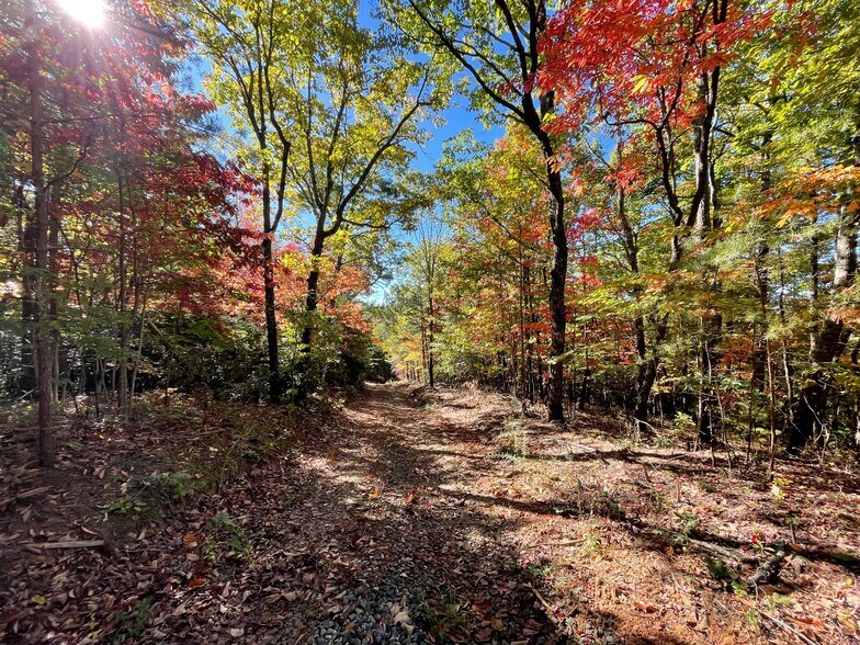 More Photos Of Tickanetley Ln, Ellijay Land For Sale