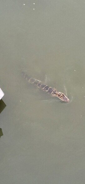 More Photos Of 15400 S US Highway 301, Summerfield Office For Sale