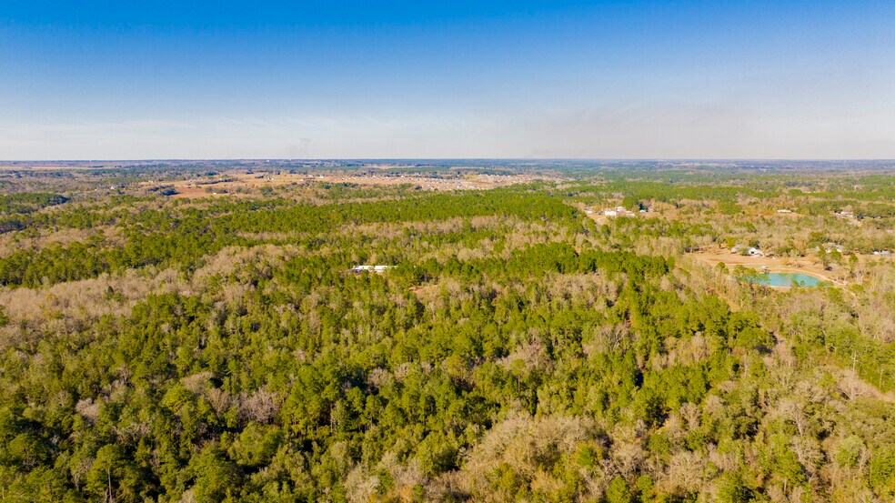 More Photos Of 12960 County Road 48, Silverhill Land For Sale