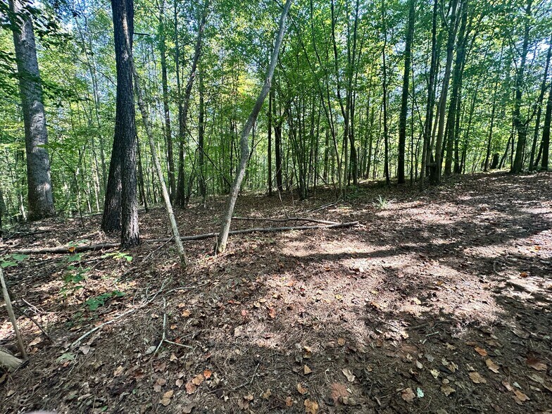 More Photos Of 00 Frix Rd, Cumming Land For Sale