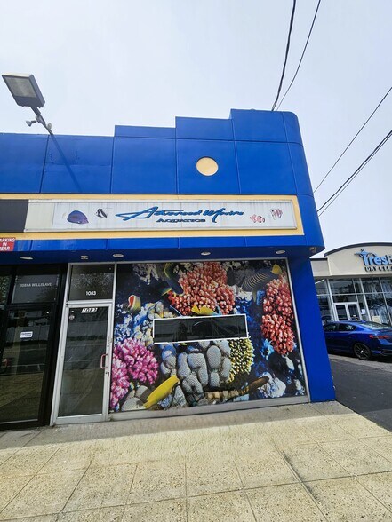 More Photos Of 1079-1083 Willis Ave, Albertson Storefront For Lease