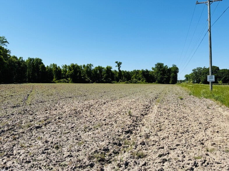 More Photos Of 0 HWY 117, Rose Hill Land For Sale