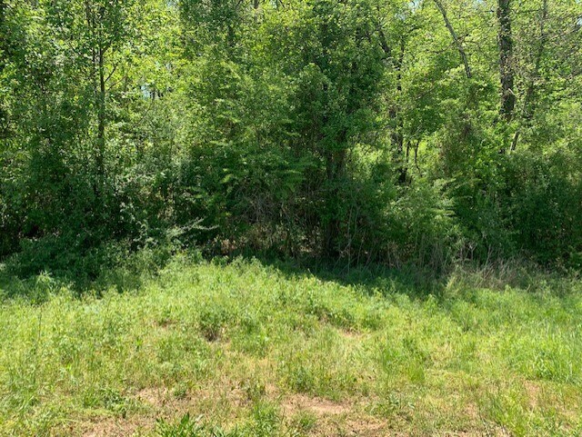 More Photos Of 5781 Thompson Bridge, Murrayville Land For Sale