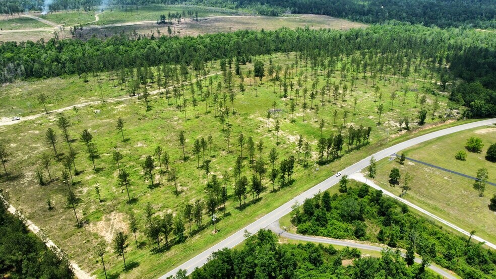 More Photos Of County Road 64, Robertsdale Land For Sale