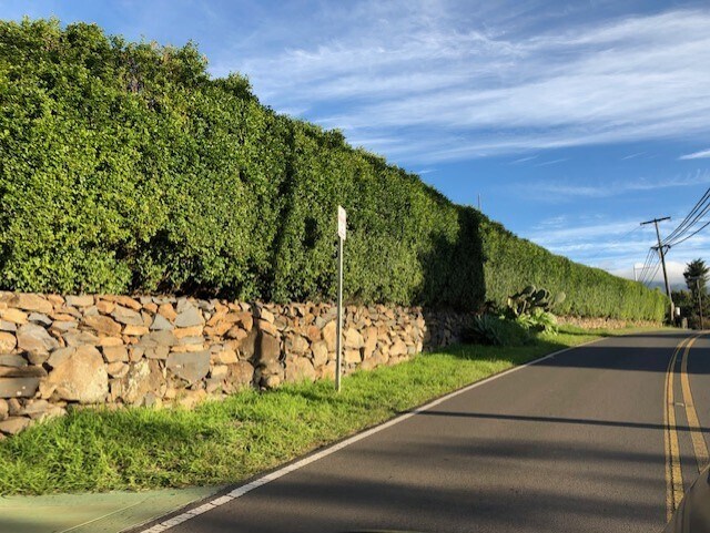 More Photos Of 3135 Lower Kula Rd, Kula Storefront Retail Office For Sale