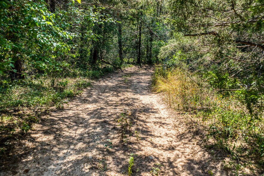 More Photos Of TBD (+/-88 Acres) Smith Rd, Bastrop Land For Sale