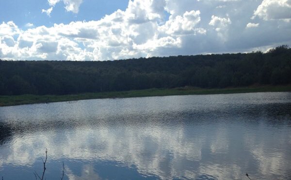 More Photos Of 9680 W Gleed Station Rd, Ash Fork Land For Sale