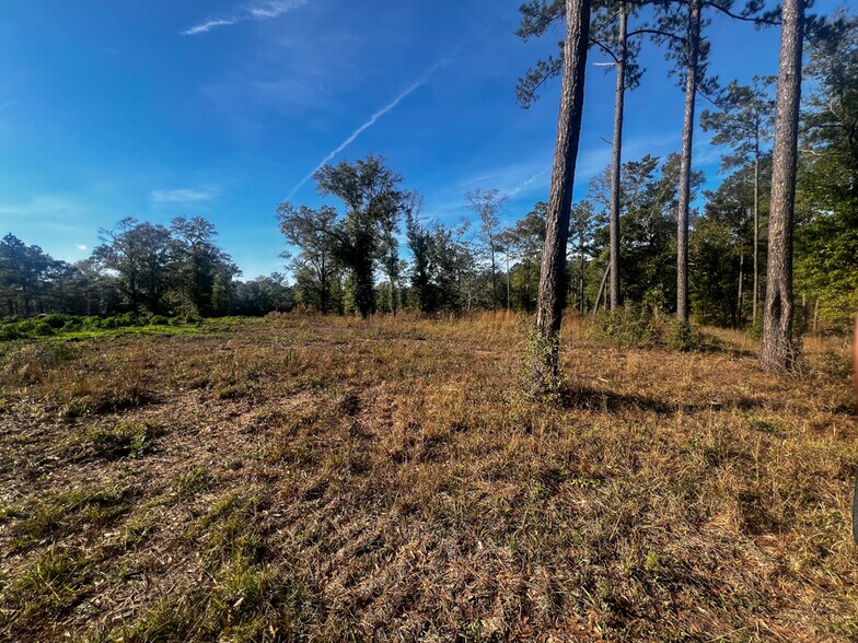 More Photos Of 0 Highway 198, Lucedale Land For Sale