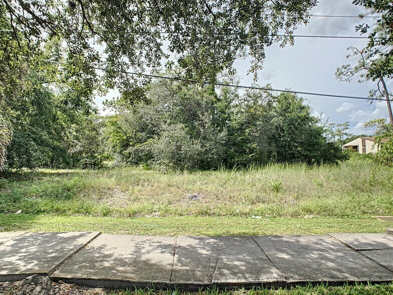 More Photos Of 0 John Young Parkway, Kissimmee Land For Sale