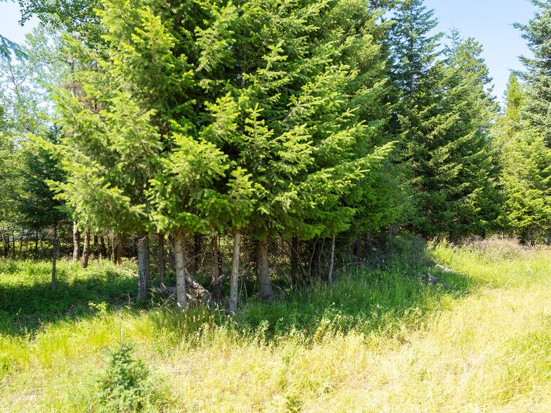 More Photos Of 221 10th st, Whitefish Land For Sale