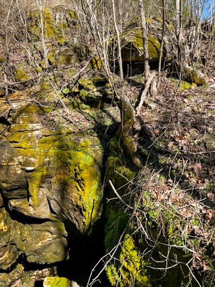 More Photos Of 4103 River Road, Guion Land For Sale