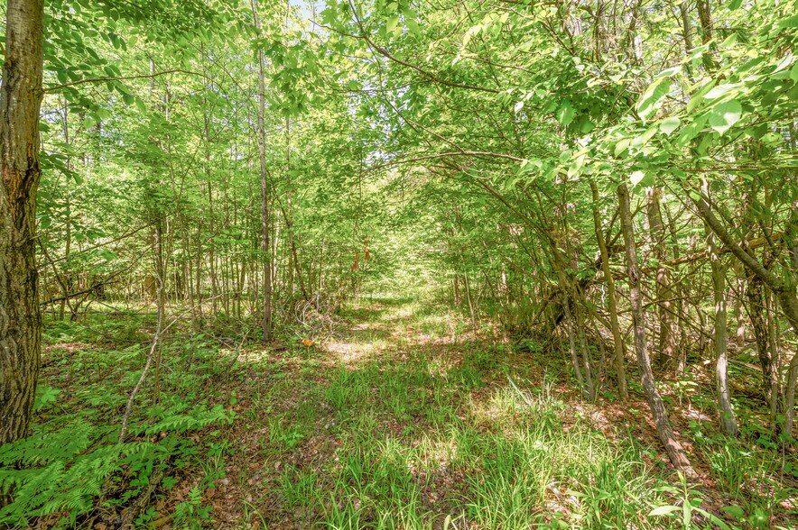 More Photos Of V/L 220th Ave, Big Rapids Land For Sale