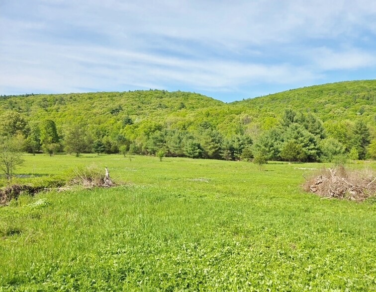 More Photos Of 308 NY-28, Kingston Land For Sale