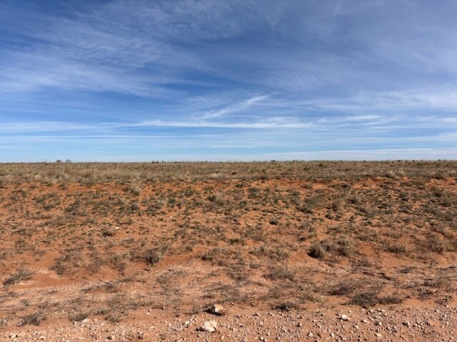 More Photos Of County Road 225, Plains Land For Sale