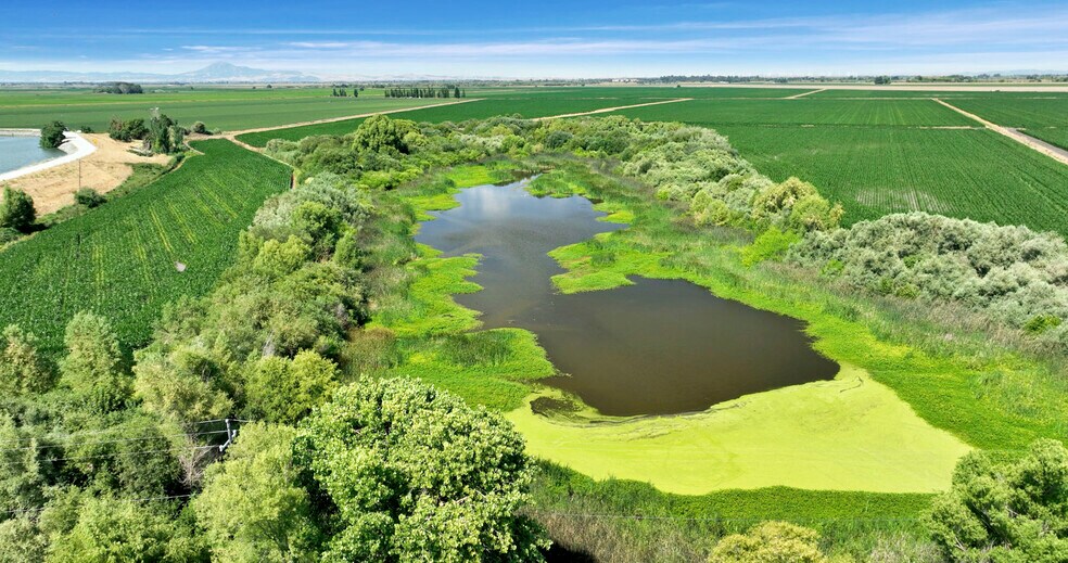 More Photos Of 19507 Tyler Island Road, Isleton Land For Sale
