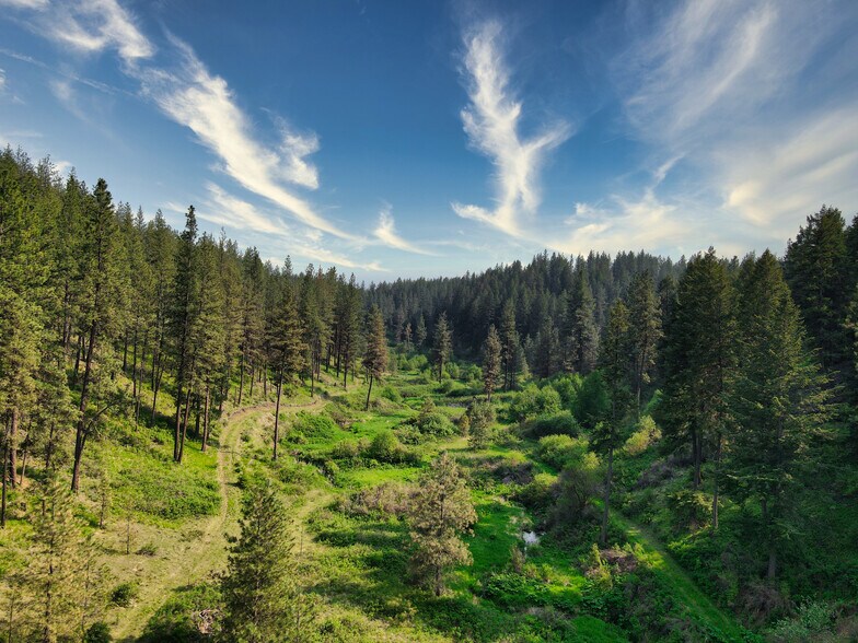 More Photos Of 45XXX Devore Rd, Davenport Land For Sale