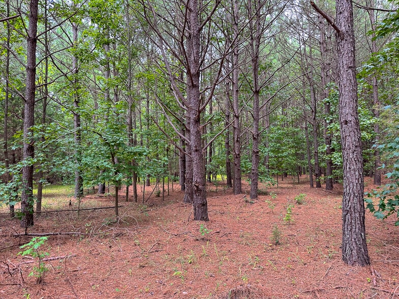 More Photos Of US 401 S Hwy, Youngsville Land For Sale