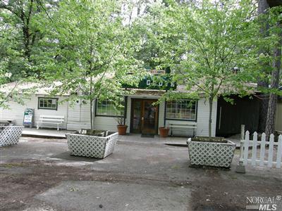 More Photos Of 15960 Bottle Rock Rd, Cobb Hotel For Sale