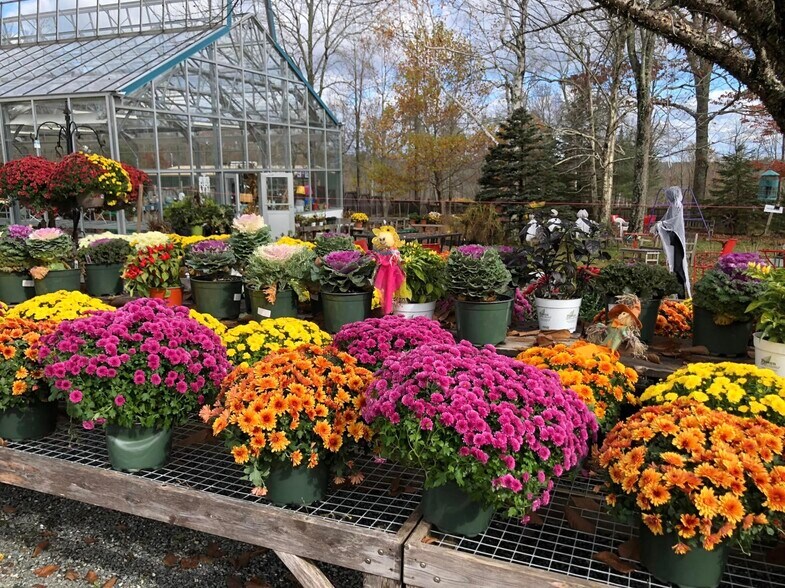More Photos Of 48 South, Blue Hill Garden Center For Sale