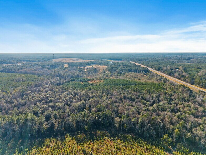 More Photos Of 55750 Lottie Rd, Perdido Land For Sale